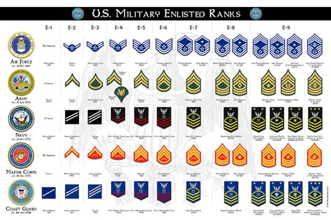 What is level 7 in the military?