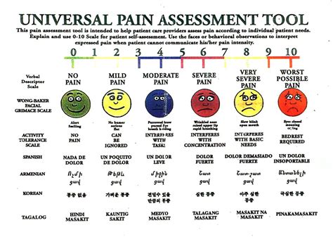 What is level 7 pain?