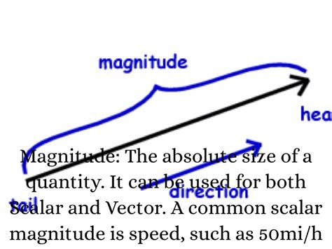 What is magnitude in physics?