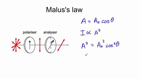 What is malus law?