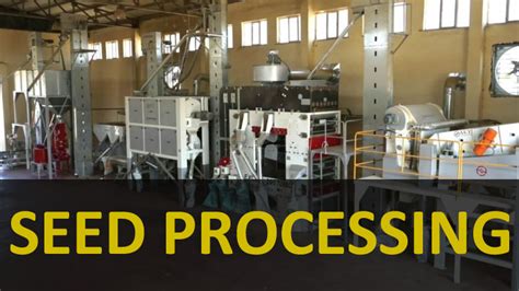 What is mean by seed processing?