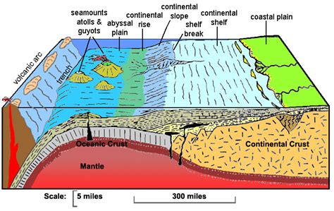 What is meant by margin of bay?