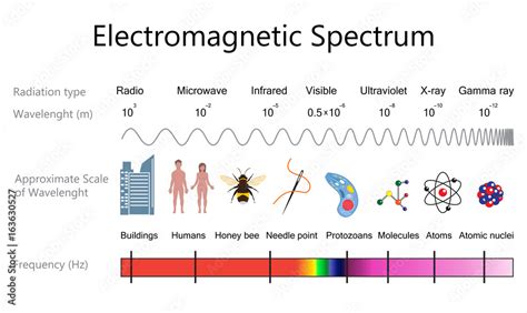 What is meant by term spectrum?