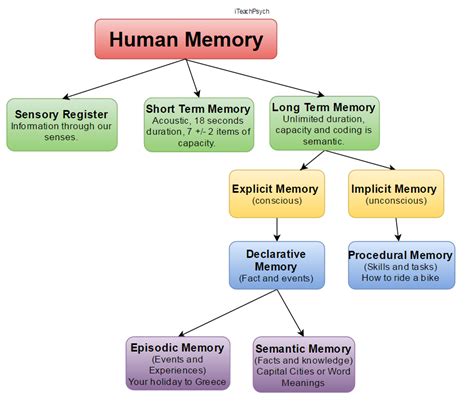What is memory in psychology?
