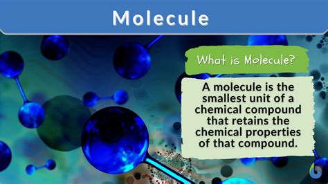 What is molecular N?