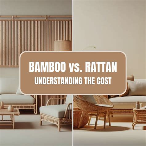 What is more expensive bamboo or rattan?