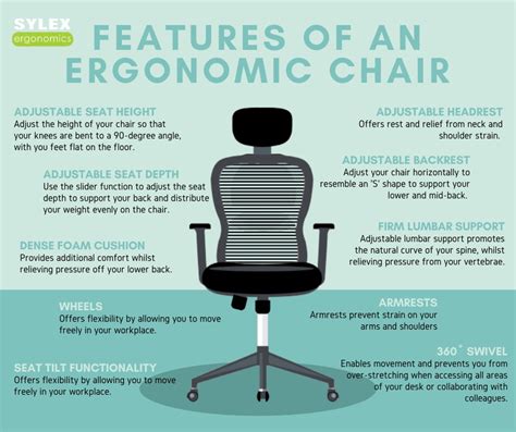 What is most important in an office chair?