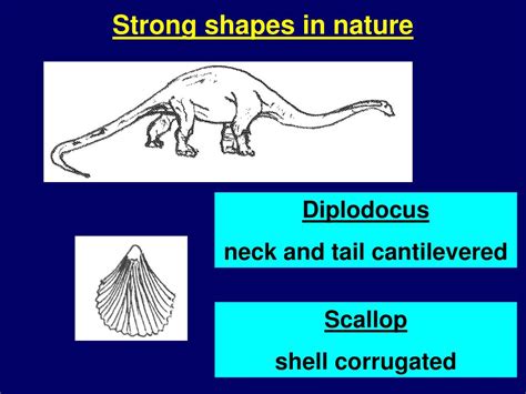 What is nature's strongest shape?