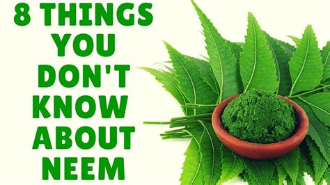 What is neem called in English?