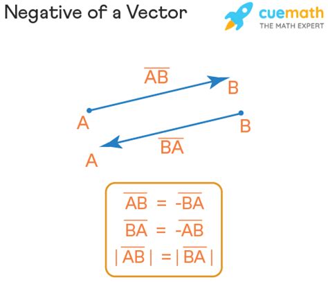 What is negative vector?