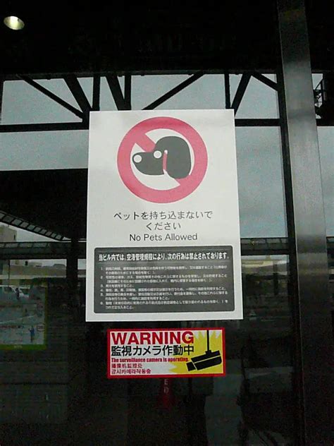 What is not allowed in Japan airport?