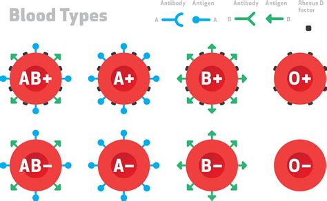 What is oldest blood type?