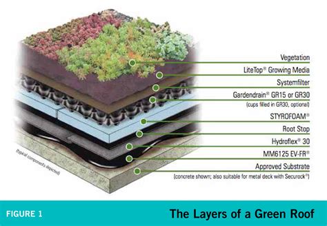 What is one disadvantage of a green roof?