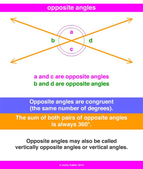 What is opposite angle?