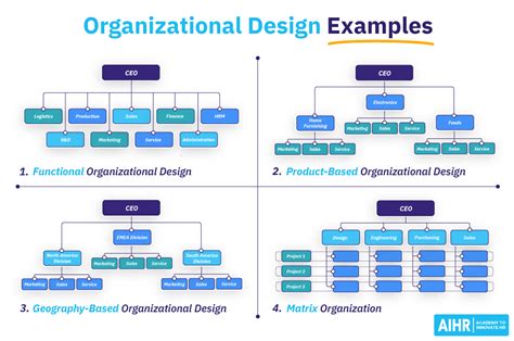 What is organization and example?