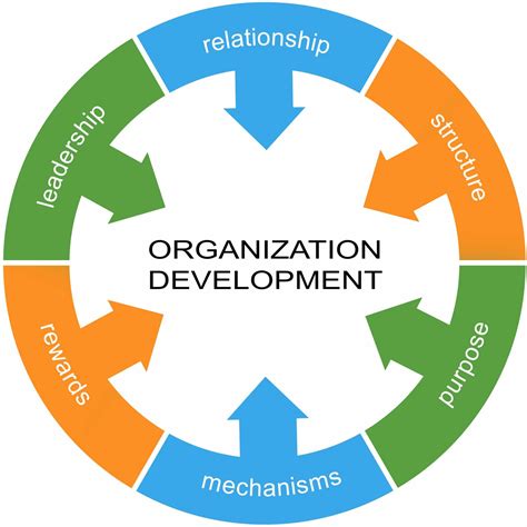 What is organizational management?