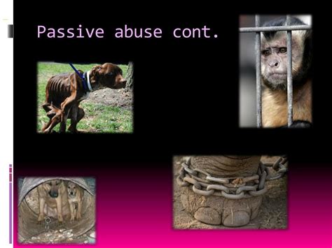 What is passive animal cruelty?