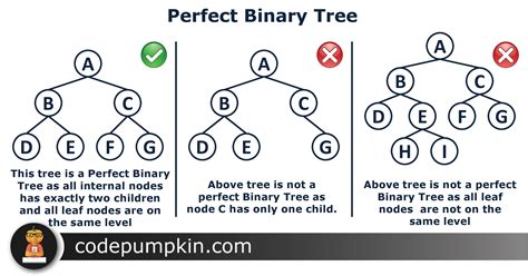 What is perfect matching of binary tree?