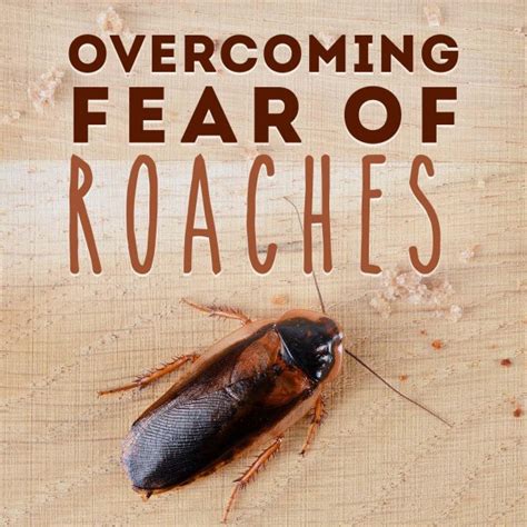 What is phobia of roaches called?