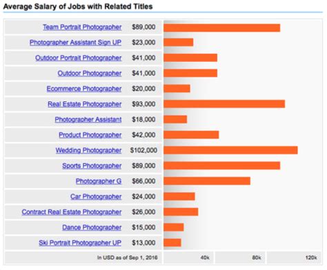 What is photography income?