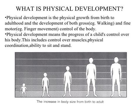 What is physical maturity?