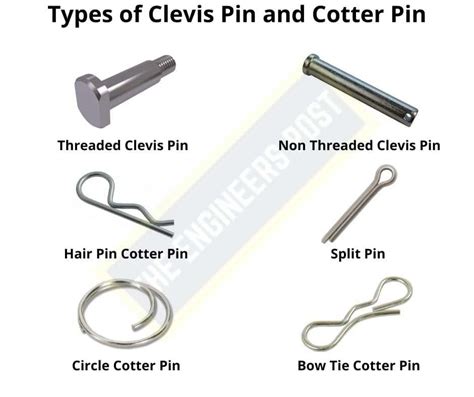 What is pins and rods?