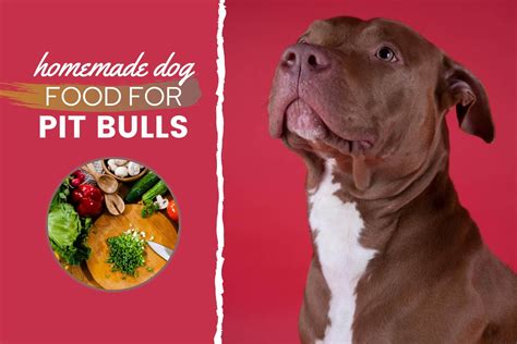 What is pit bulls favorite food?