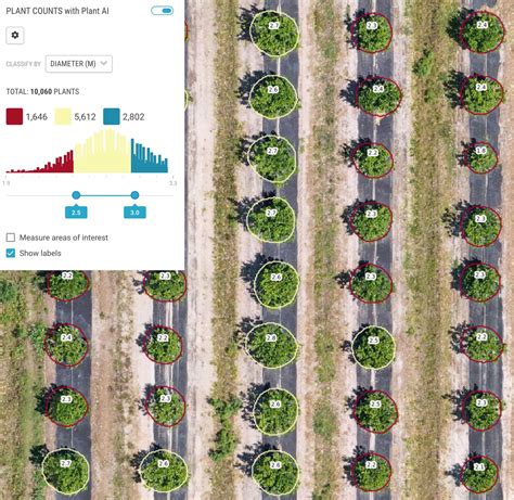 What is plant data?