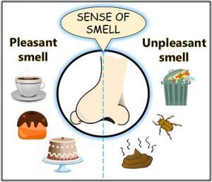 What is pleasant smell?