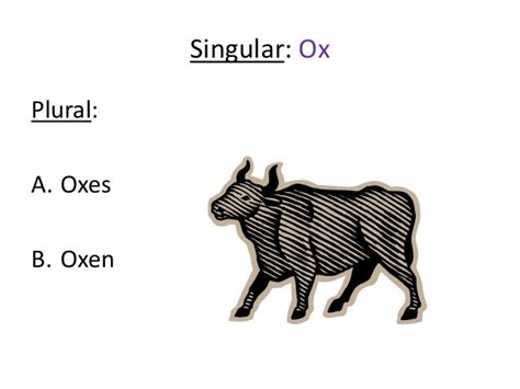 What is plural for ox?