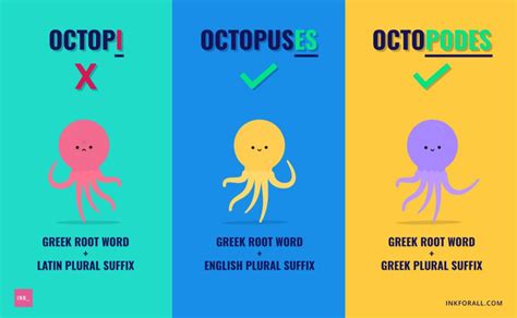 What is plural of octopus?