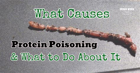 What is protein poisoning?