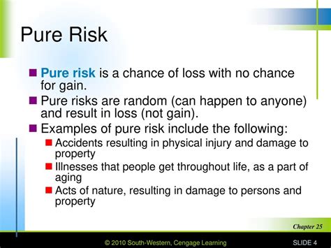 What is pure risk?