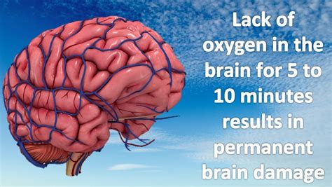 What is restricted oxygen to the brain?