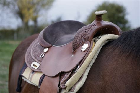 What is riding saddle?