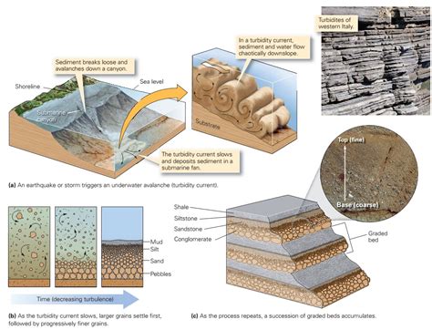What is sedimentary bedding?