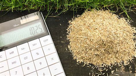 What is seed calculator?