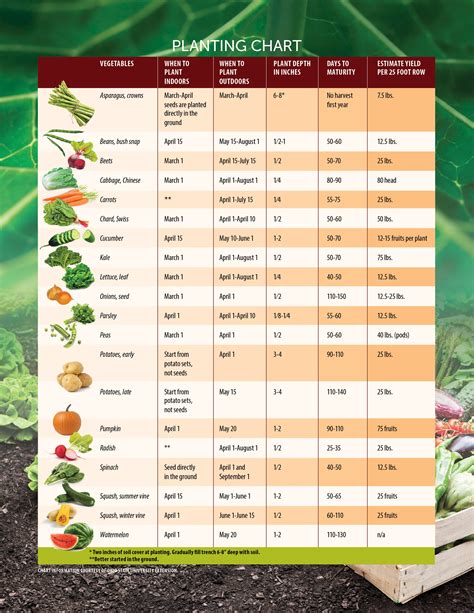 What is seed data used for?