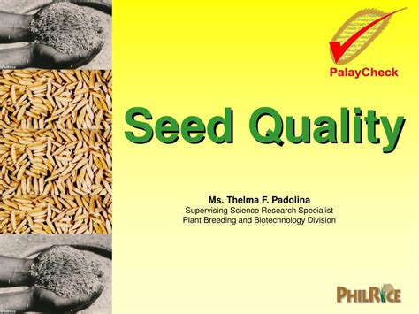 What is seed quality control?