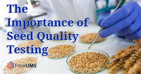 What is seed quality testing?