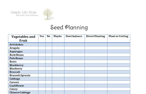What is seeding in planning?