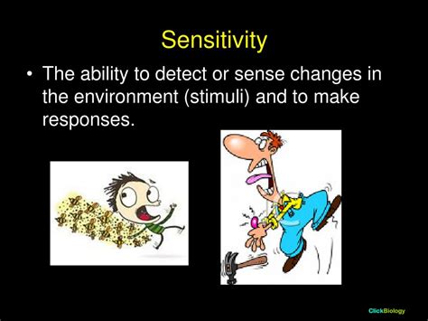 What is sensitivity response?