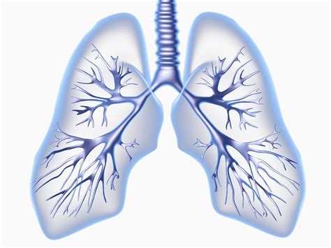 What is shy lung?