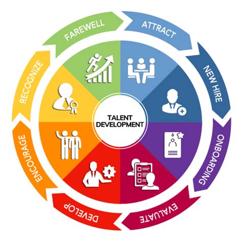 What is skill and talent development?