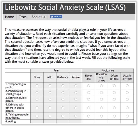 What is social anxiety test?