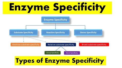 What is specificity and types of specificity?