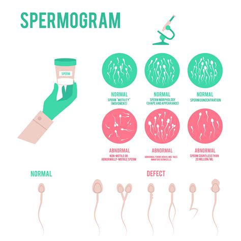 What is sperm quantity?