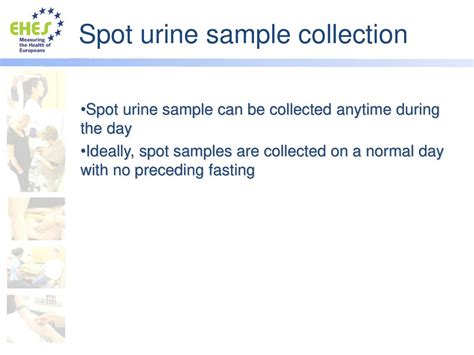 What is spot urine test?