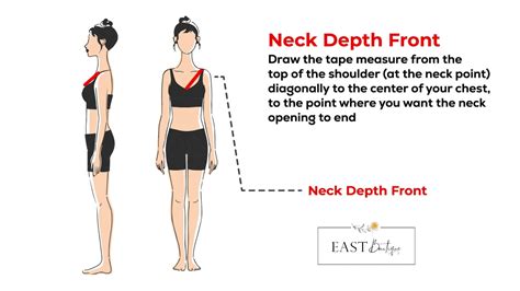 What is standard neckline depth?