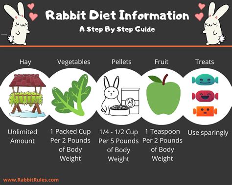 What is starving on a rabbit diet?